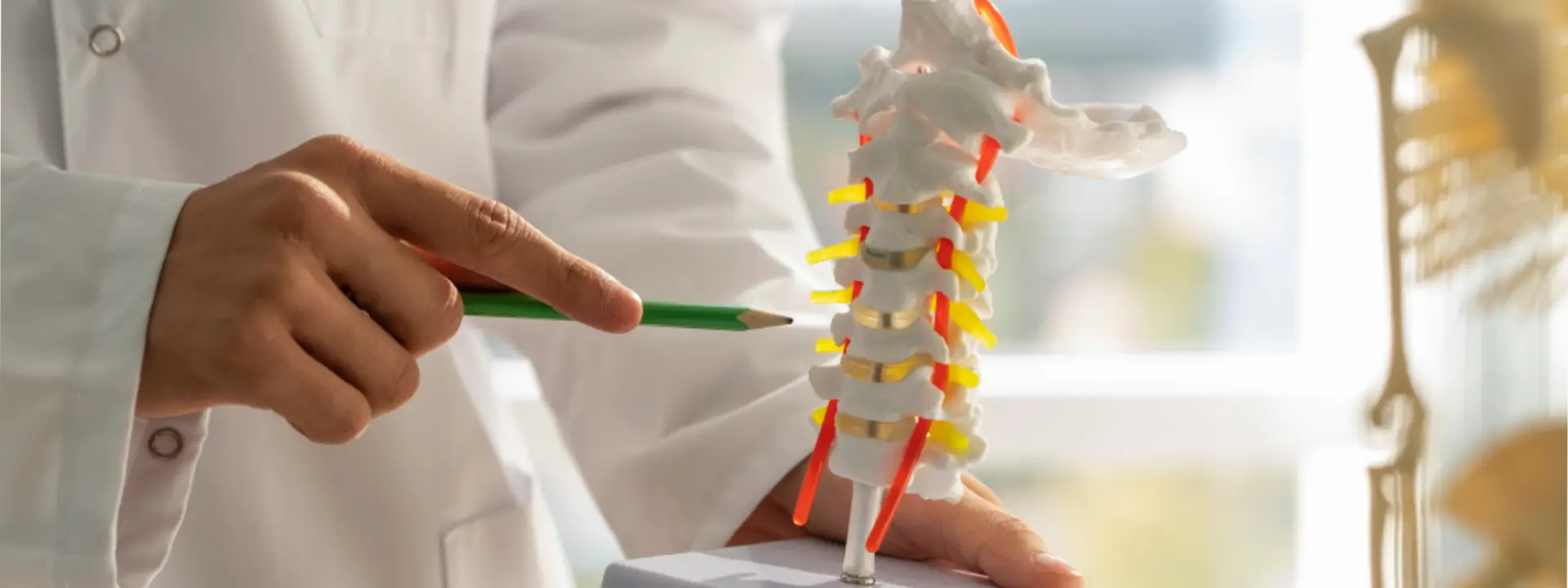 orthopedic (1)